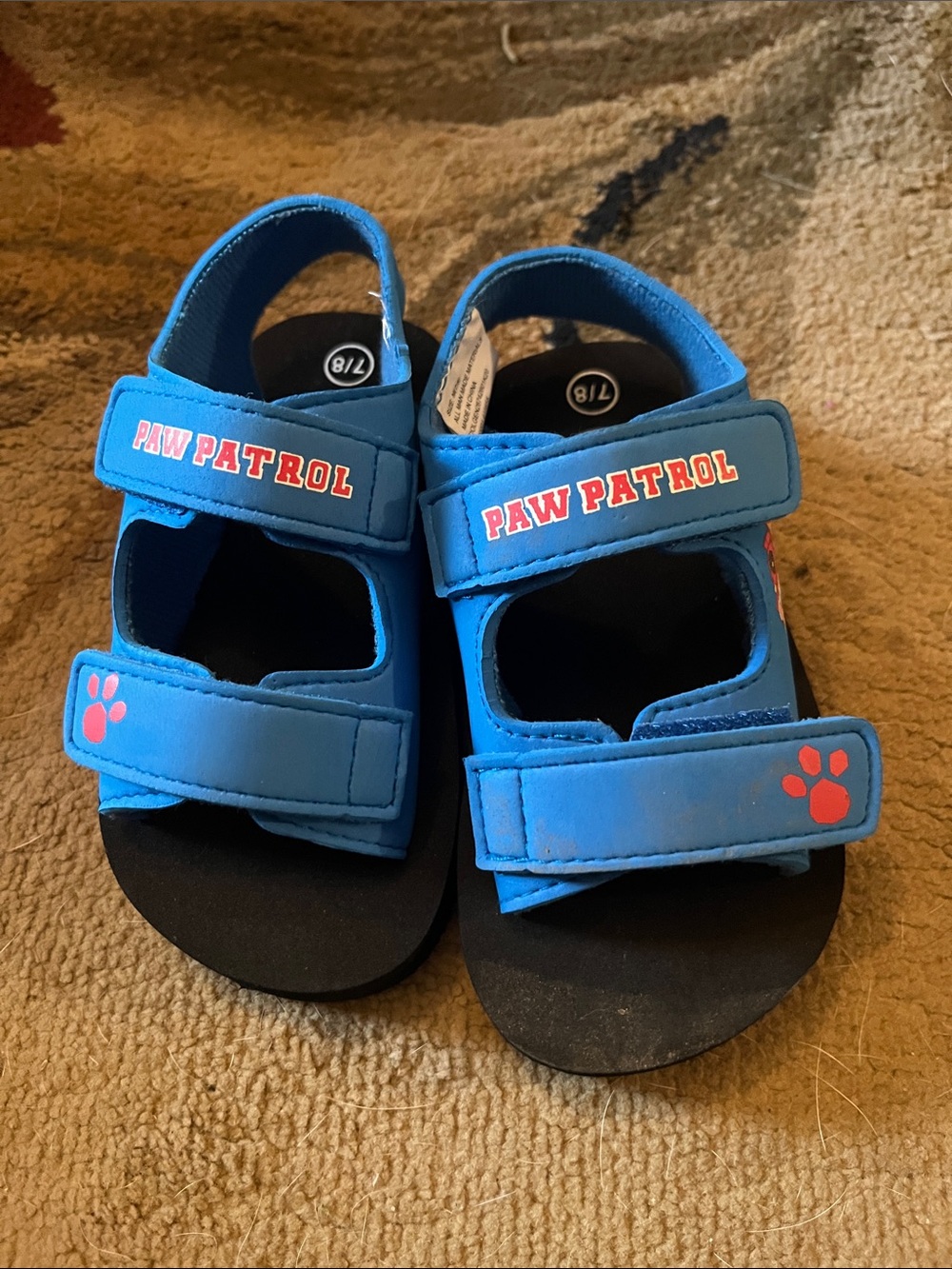 Paw Patrol Blue Sandals